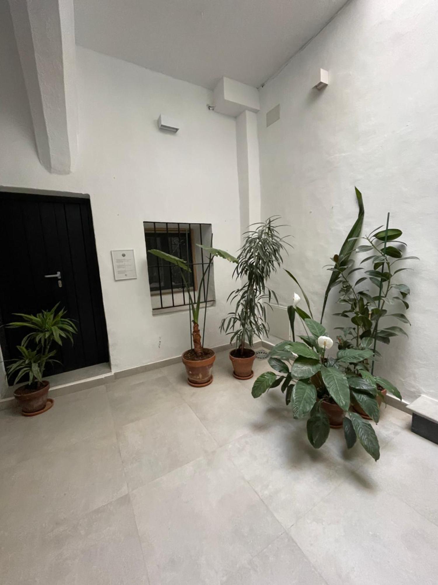 Casa Florinda Tarifa Διαμέρισμα Εξωτερικό φωτογραφία
